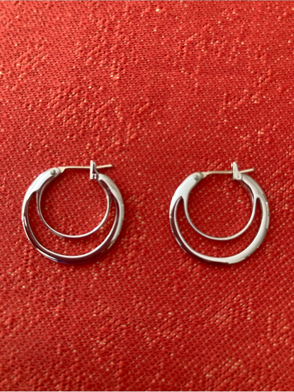 Silvertone Double Hoop Earrings